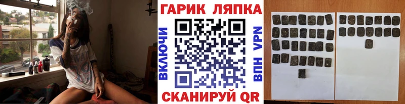 ГАШ Premium  блэк спрут ссылки  Гусев  где найти  