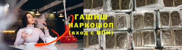 PSILOCYBIN Белокуриха