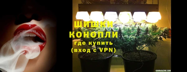 PSILOCYBIN Белокуриха