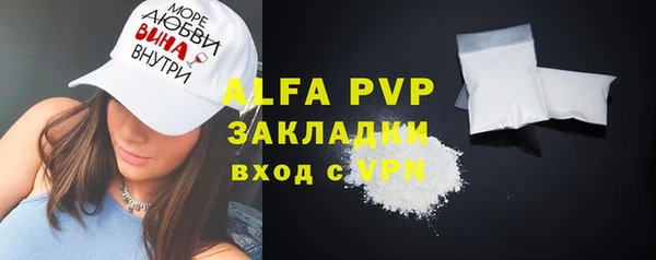 PSILOCYBIN Белокуриха