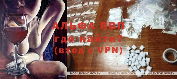 PSILOCYBIN Белокуриха