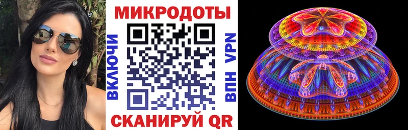 Псилоцибиновые грибы Psilocybe  Гусев 