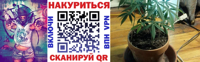 Канабис сатива Гусев